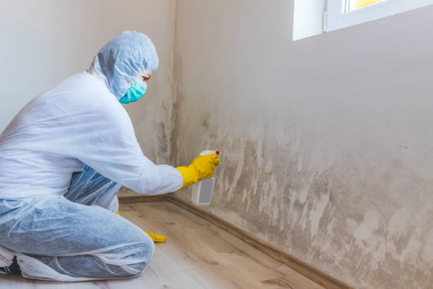 Hvac And Air Duct Mold Remediation inspection of HVAC system in Alexandria
