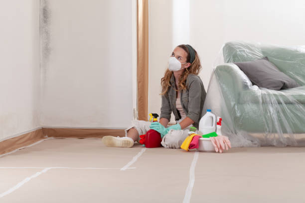 Mold Removal service in Alexandria
